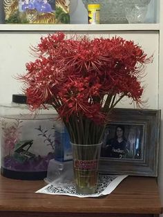 red flowers in a glass vase on a wooden table next to a framed photograph and other items