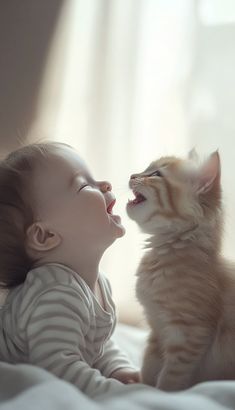 Happy Wallpaper, Gorgeous Cats, Old Cats, Cute Animal Pictures, Cute Cats And Dogs, الرسومات اللطيفة, Beautiful Cats, Baby Cats