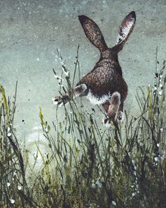 a painting of a brown and white rabbit running through tall grass with flowers in it's mouth