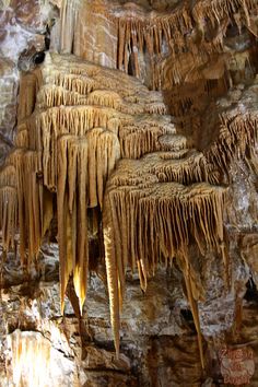 the cave is filled with stalate formations