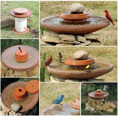 several pictures of birds drinking water from an outdoor birdbath with rocks and stones around it