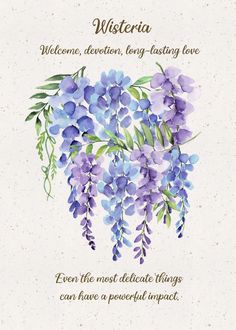 a greeting card with purple flowers and green leaves on the front reads,'welcome, elevation, long - lasting love even the most delicate things can have a powerful impact