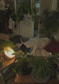 a bedroom with plants and books on the bed