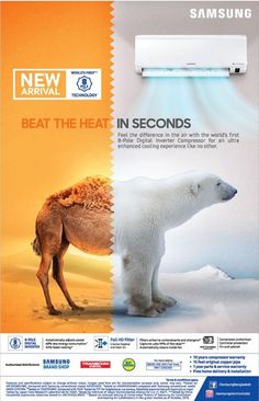 an advertisement for the new samsung air conditioner featuring a polar bear and a camel