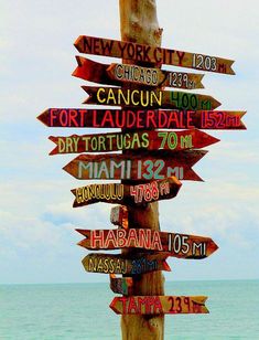 a wooden pole with many signs on it in front of the ocean and blue sky