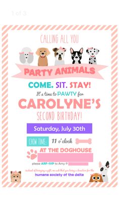 an animal themed birthday party with dogs and cats in pink, green, blue, purple,