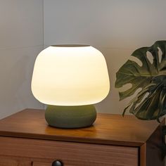 a lamp sitting on top of a wooden table next to a green potted plant