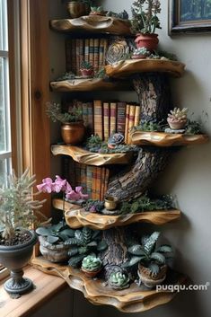 the shelves are filled with books and plants