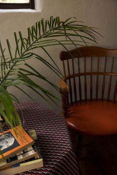 a chair sitting next to a plant on top of a table