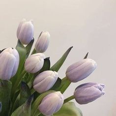 a bouquet of purple tulips in a glass vase with green leaves on the side