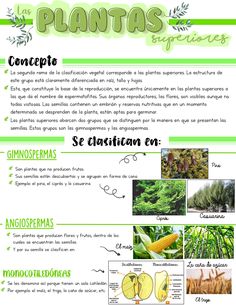 a poster with pictures of plants and words in spanish on the bottom right hand corner