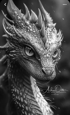 a black and white photo of a dragon's head with drops of water on it