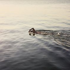 a person swimming in the water with their head above the water's surface,