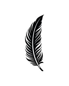 a black and white image of a feather