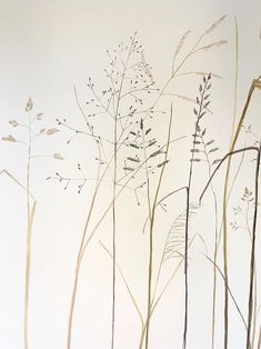 an image of some plants on a white wall