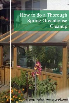 how to do a thorough spring greenhouse cleanup in your backyard or front yard, with text overlay