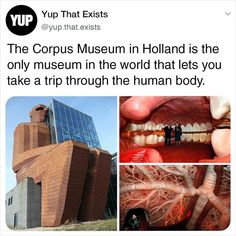 an image of people standing in front of a building and the caption reads, the corrus museum in holland is the only museum in the world that lets you take a trip through the human body