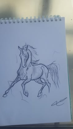 a drawing of a horse running on its hind legs