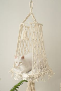 a white cat is laying in a hammock hanging from a tree ornament