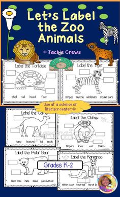 the zoo animals worksheet for preschool