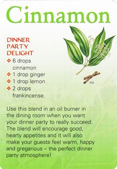 Essential Oil Diffuser Recipes, Oil Diffuser Recipes, Diffuser Blend, Essential Oil Diffuser Blends