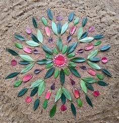 a circular design made out of leaves in the sand with red and green colors on it