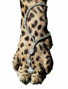 an animal's paw with diamonds and pearls on the claws, as if it were made out of fur