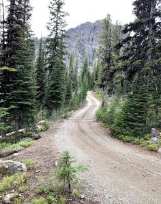 a dirt road surrounded by trees and rocks