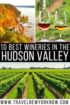 10 Best Wineries in the Hudson Valley + Secret Local Tips Ny Travel Guide, Wine Tips, Hudson Valley New York, Vineyard Tour, City Winery, Hudson Valley Ny, Ny Trip, New York Travel Guide