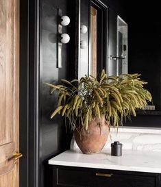 a potted plant sitting on top of a white counter in front of a mirror