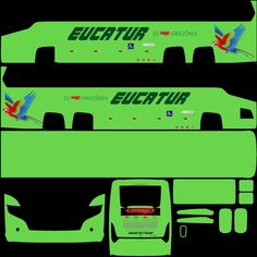 an image of the side and back of a bus that is green with birds on it