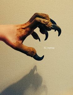 a person's hand holding an animal claw