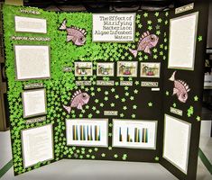 a display board with information about the effects of multiling algae - related plants and animals