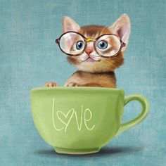 'Mr. Micio Miao - Kitten with Glasses' by Roberta Jean Pharelli Bon Mardi, The Word Love, Word Love, Wearing Glasses, Crazy Cat Lady