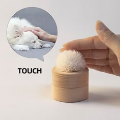 a small white dog laying on top of a table next to a person's hand