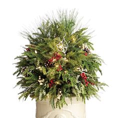 a potted plant with red berries and greenery in it on a white background