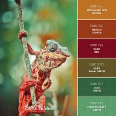 an image of a chamelon on a branch with color swatches