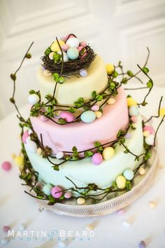 a three tiered cake decorated with eggs and branches