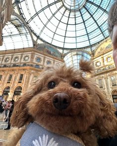 a man holding a brown dog in his arms and looking at the camera with an ornate glass ceiling behind him