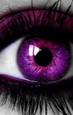 a woman's purple eye with long lashes