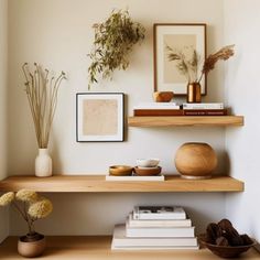 shelves with books, vases and plants on them