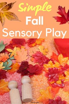 fall sensory bin for preschoolers Fall Harvest Activities, Fall Sensory Table, Fall Sensory Activities, Autumn Sensory Bin, Harvest Activities, Sensory Bin Ideas, Flisat Table