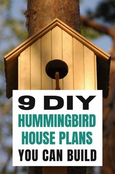 If you’re looking for an easy and affordable way to attract hummingbirds to your yard, consider building one hummingbird house. Here are 9 DIY hummingbird house plans that you can easy build. Read more! Cool Bird Houses, Bird House Plans Free, Backyard Birds Sanctuary, Hummingbird House, Homemade Bird Houses, Bird Houses Ideas Diy, Bird House Feeder, Attract Hummingbirds, Bird House Plans