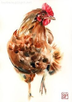 a watercolor painting of a rooster on a white background