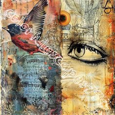 an artistic collage with birds and music notes