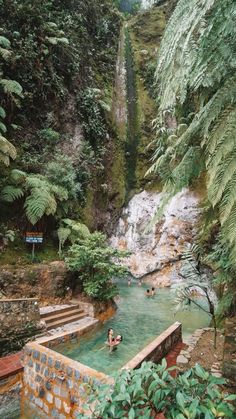 people swimming in a pool surrounded by greenery and trees, next to a waterfall