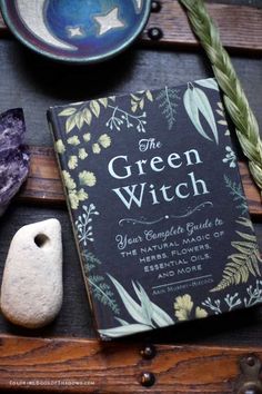 Another sweet book on witchcraft—The Green Witch by Arin Murphy-Hiscock. Check out this list of more favorite witchcraft books, spell books, and other witchy things to read. The Green Witch, Green Witchcraft, Witchcraft Books, Natural Magic, Witch Books, Witch Aesthetic, Practical Magic, Green Witch