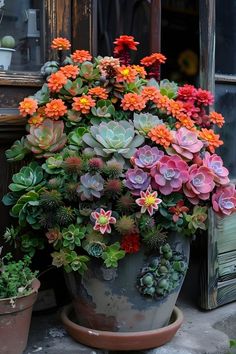 an assortment of succulents and other plants in pots on the ground next to a window