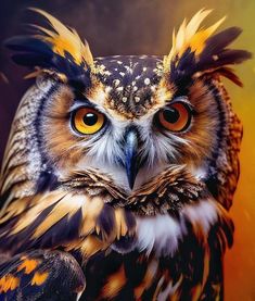 an owl with orange and black feathers on its head