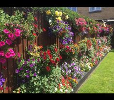 colorful flowers are growing on the side of a fence